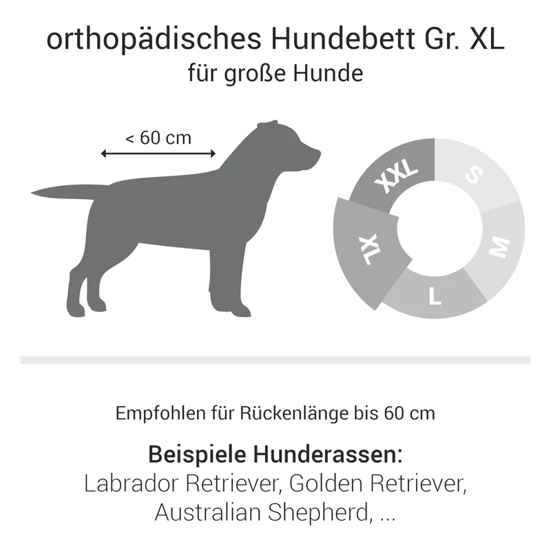 Doctor Bark Orthopädisches Hundebett – Gelenkschonend & Wirbelsäulenentlastend für gesunden Schlaf