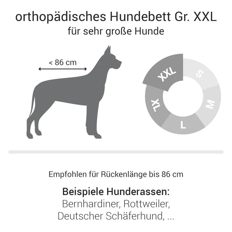 Doctor Bark Orthopädisches Hundebett – Gelenkschonend & Wirbelsäulenentlastend für gesunden Schlaf