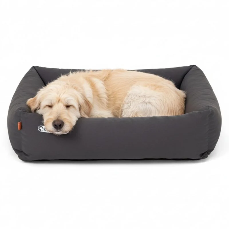 Doctor Bark Orthopädisches Hundebett – Gelenkschonend & Wirbelsäulenentlastend für gesunden Schlaf