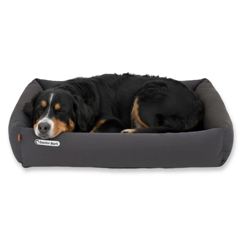 Doctor Bark Orthopädisches Hundebett – Gelenkschonend & Wirbelsäulenentlastend für gesunden Schlaf