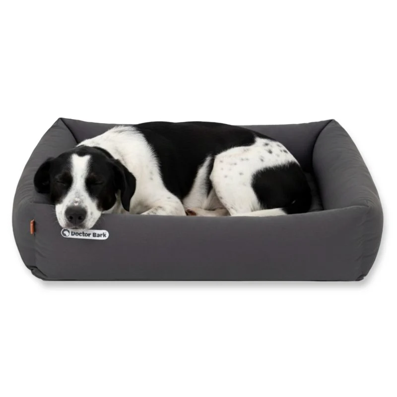 Doctor Bark Orthopädisches Hundebett – Gelenkschonend & Wirbelsäulenentlastend für gesunden Schlaf