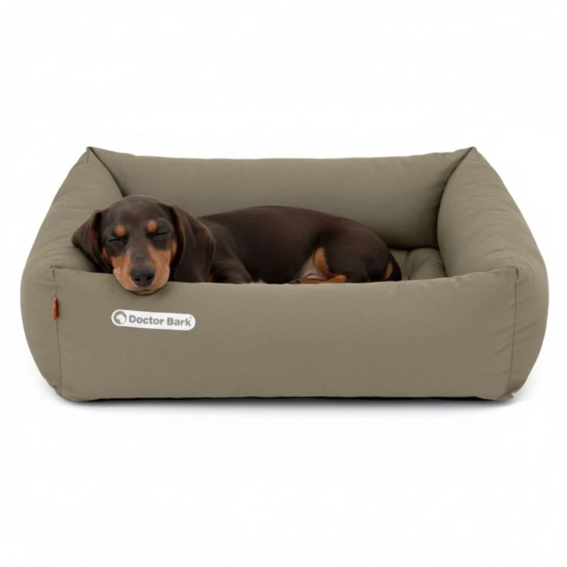 Doctor Bark Orthopädisches Hundebett – Gelenkschonend & Wirbelsäulenentlastend für gesunden Schlaf