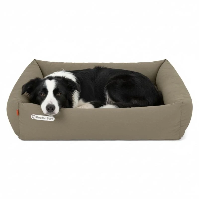Doctor Bark Orthopädisches Hundebett – Gelenkschonend & Wirbelsäulenentlastend für gesunden Schlaf