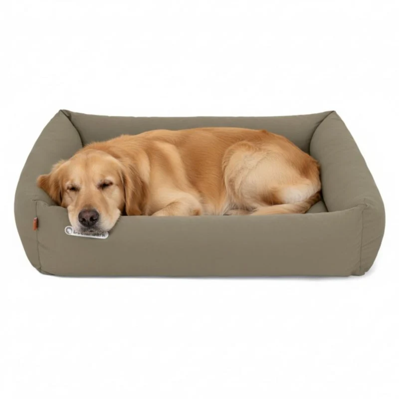 Doctor Bark Orthopädisches Hundebett – Gelenkschonend & Wirbelsäulenentlastend für gesunden Schlaf