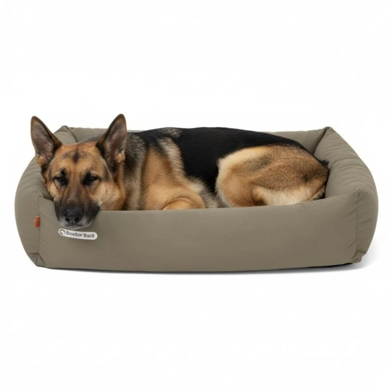 Doctor Bark Orthopädisches Hundebett – Gelenkschonend & Wirbelsäulenentlastend für gesunden Schlaf