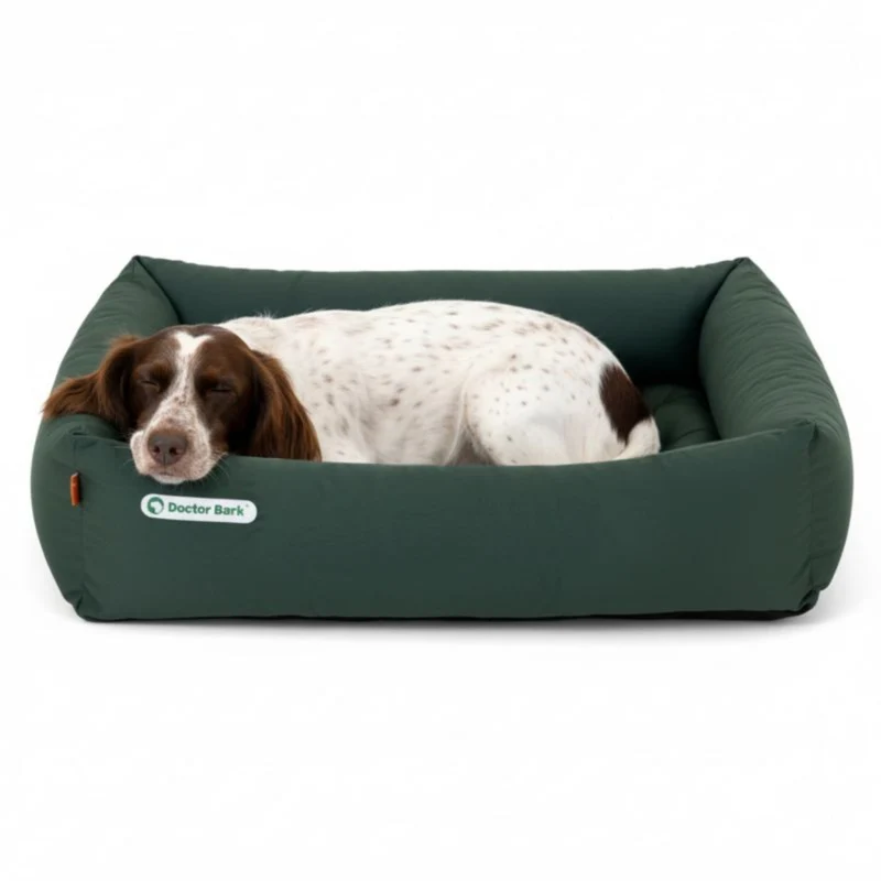 Doctor Bark Orthopädisches Hundebett – Gelenkschonend & Wirbelsäulenentlastend für gesunden Schlaf