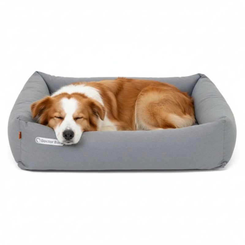 Doctor Bark Orthopädisches Hundebett – Gelenkschonend & Wirbelsäulenentlastend für gesunden Schlaf