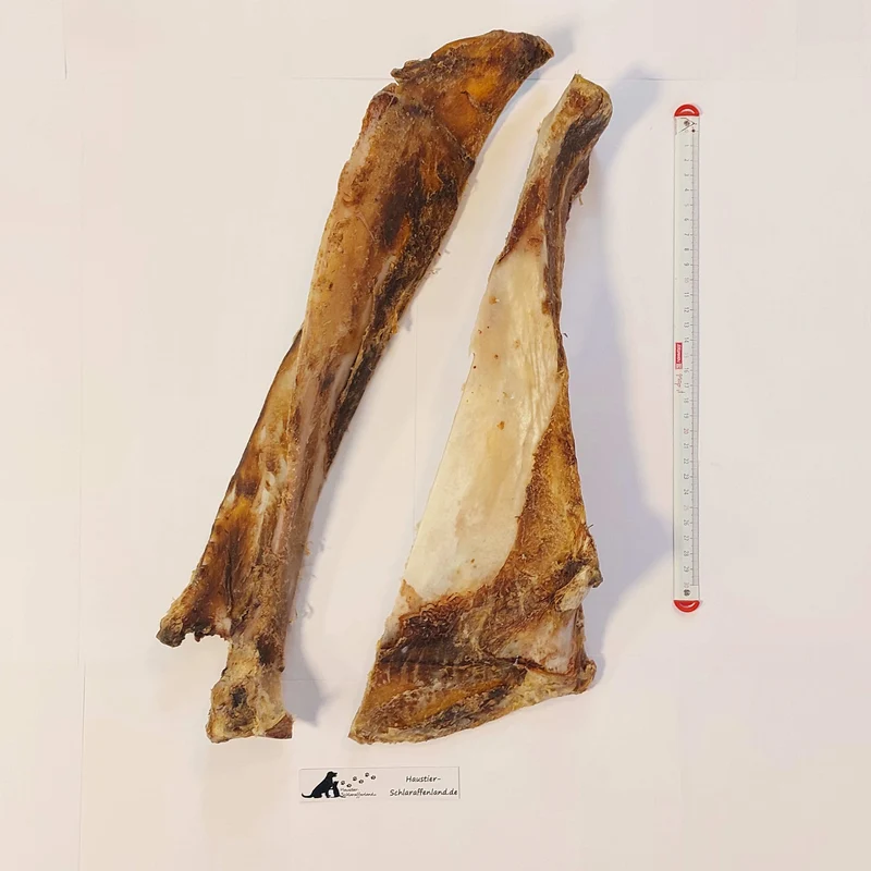 Rinder-Schulterblatt Giant