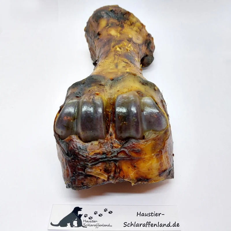 Rinder-Unterbein