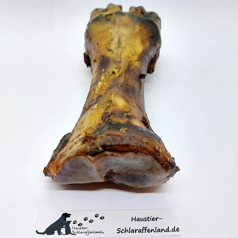 Rinder-Unterbein