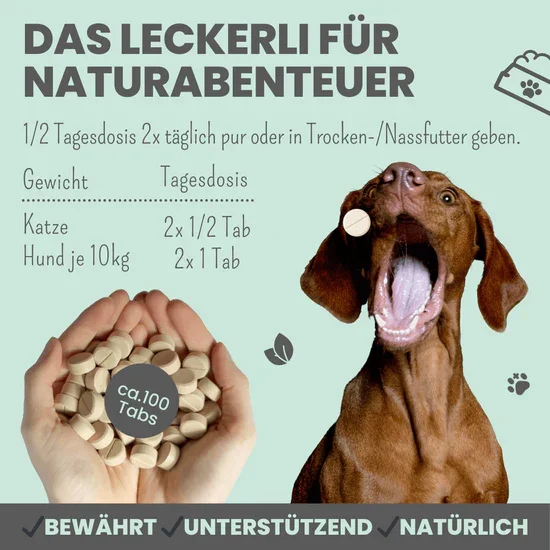 Noms+ Zistrosen Tabs - 100% natürliches Zistrosen-Leckerli für Wald- & Wiesenspaziergänge | Für Hund & Katze | 100% Chemiefrei | 150g