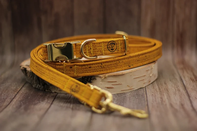Hundehalsband mit Klickverschluss | Korkleder | Robust & Vegan | Senf/Gold