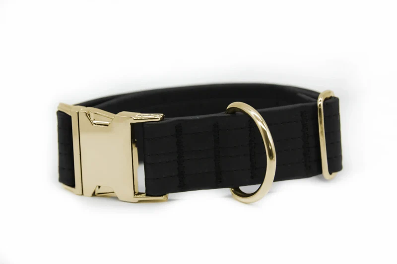 Hundehalsband mit Klickverschluss | Korkleder | Robust & Vegan | Schwarz/Gold