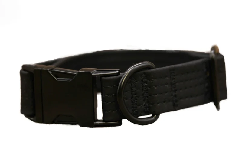 Hundehalsband mit Klickverschluss | Korkleder | Robust & Vegan | Schwarz/Schwarz
