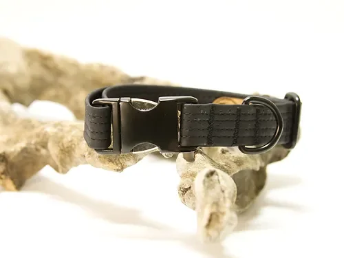 Hundehalsband mit Klickverschluss | Korkleder | Robust & Vegan | Schwarz/Schwarz