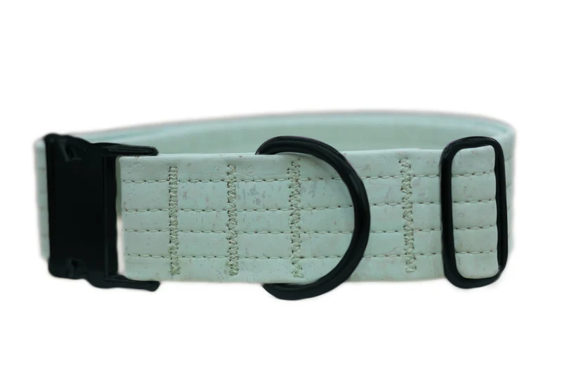 Hundehalsband mit Klickverschluss | Korkleder | Robust & Vegan | Mint/Schwarz