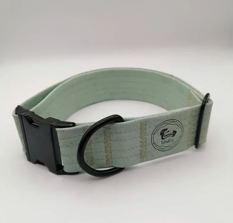 Hundehalsband mit Klickverschluss | Korkleder | Robust & Vegan | Mint/Schwarz