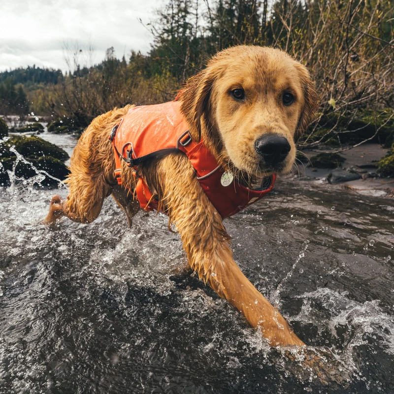 Ruffwear Confluence Schwimmweste – Premium Hundeschwimmweste mit Auftriebskörper, Tragegriff & Reflektoren für sicheres Schwimmen, Bootfahren & Wassersport