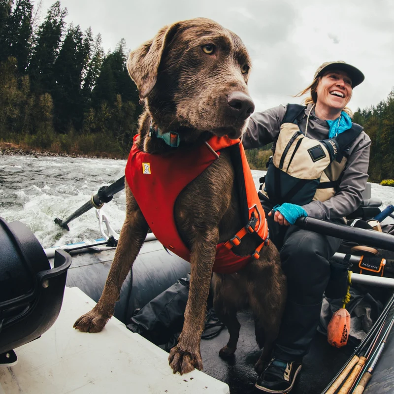 Ruffwear Confluence Schwimmweste – Premium Hundeschwimmweste mit Auftriebskörper, Tragegriff & Reflektoren für sicheres Schwimmen, Bootfahren & Wassersport