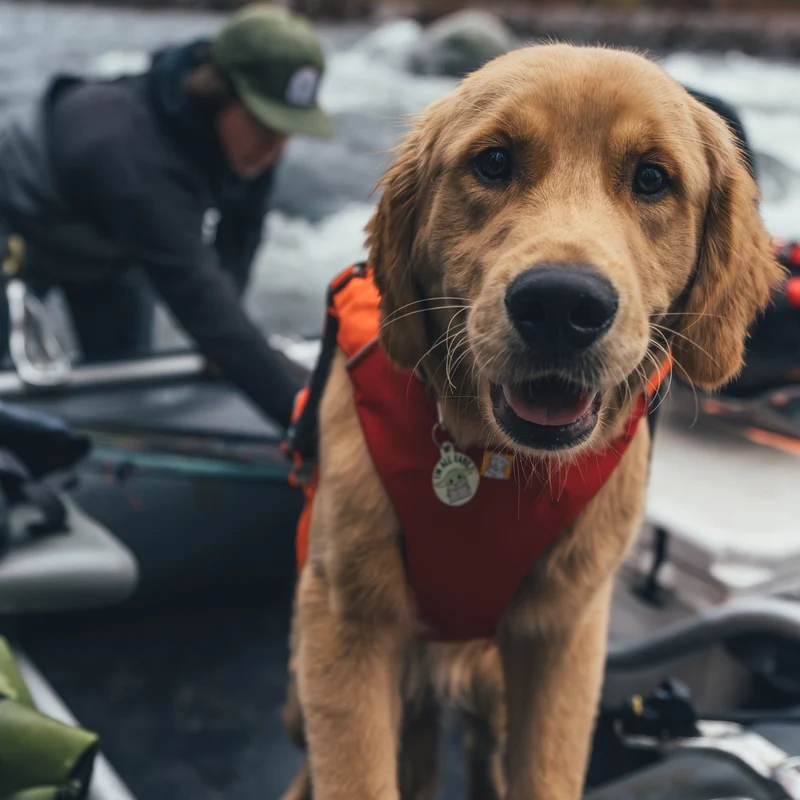 Ruffwear Confluence Schwimmweste – Premium Hundeschwimmweste mit Auftriebskörper, Tragegriff & Reflektoren für sicheres Schwimmen, Bootfahren & Wassersport