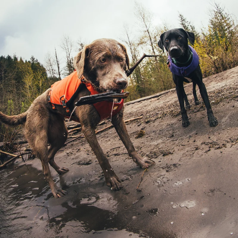 Ruffwear Confluence Schwimmweste – Premium Hundeschwimmweste mit Auftriebskörper, Tragegriff & Reflektoren für sicheres Schwimmen, Bootfahren & Wassersport
