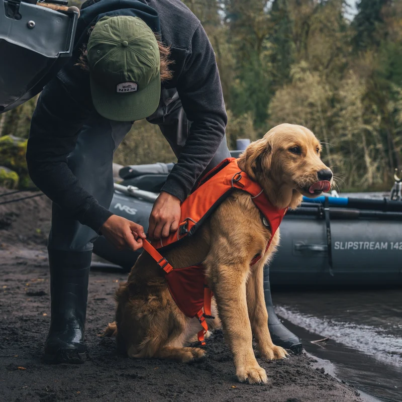 Ruffwear Confluence Schwimmweste – Premium Hundeschwimmweste mit Auftriebskörper, Tragegriff & Reflektoren für sicheres Schwimmen, Bootfahren & Wassersport