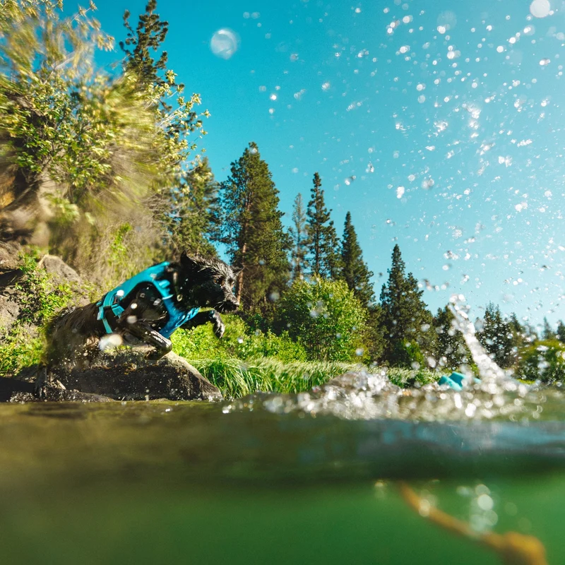 Ruffwear Confluence Schwimmweste – Premium Hundeschwimmweste mit Auftriebskörper, Tragegriff & Reflektoren für sicheres Schwimmen, Bootfahren & Wassersport