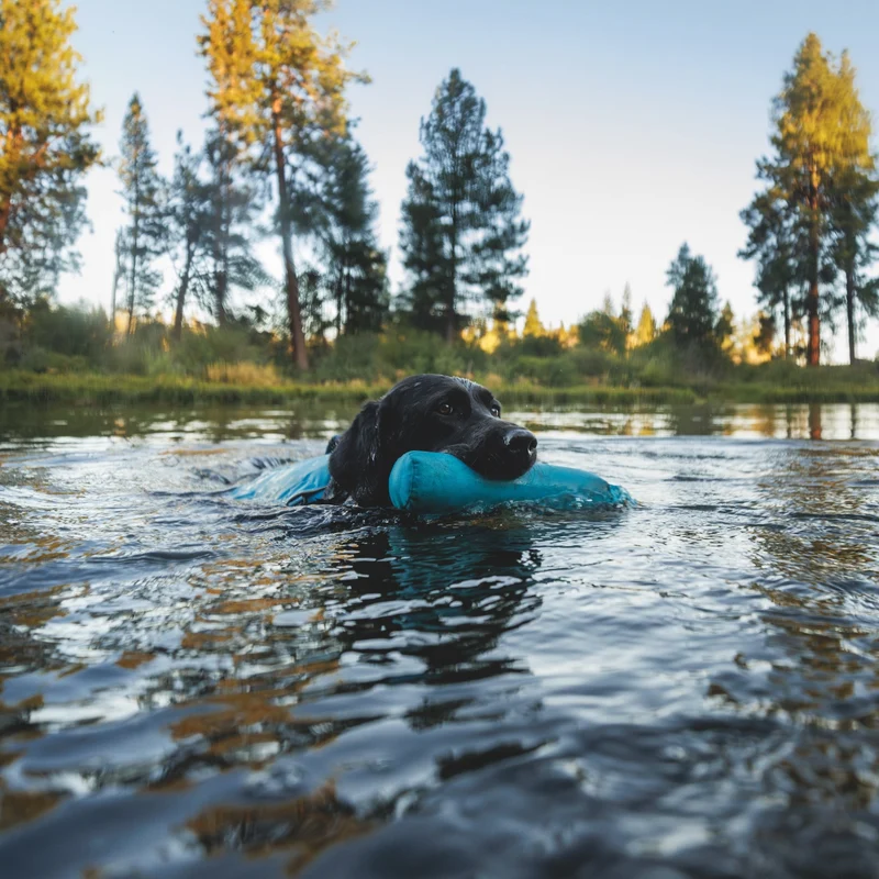 Ruffwear Confluence Schwimmweste – Premium Hundeschwimmweste mit Auftriebskörper, Tragegriff & Reflektoren für sicheres Schwimmen, Bootfahren & Wassersport