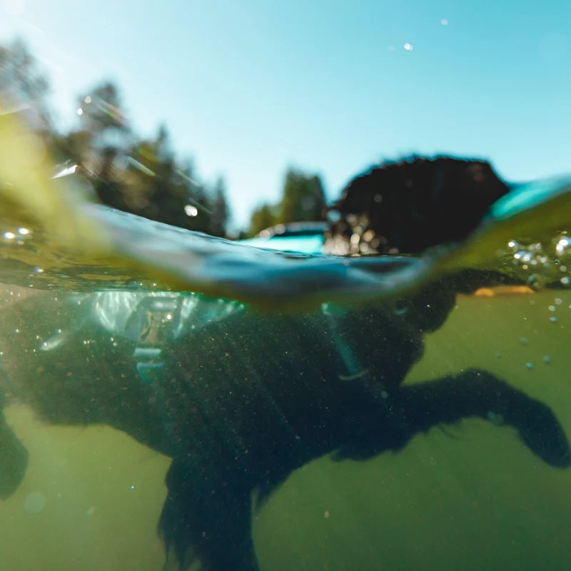 Ruffwear Confluence Schwimmweste – Premium Hundeschwimmweste mit Auftriebskörper, Tragegriff & Reflektoren für sicheres Schwimmen, Bootfahren & Wassersport