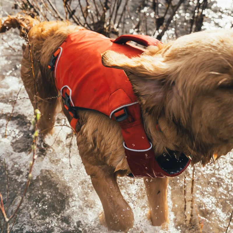Ruffwear Confluence Schwimmweste – Premium Hundeschwimmweste mit Auftriebskörper, Tragegriff & Reflektoren für sicheres Schwimmen, Bootfahren & Wassersport