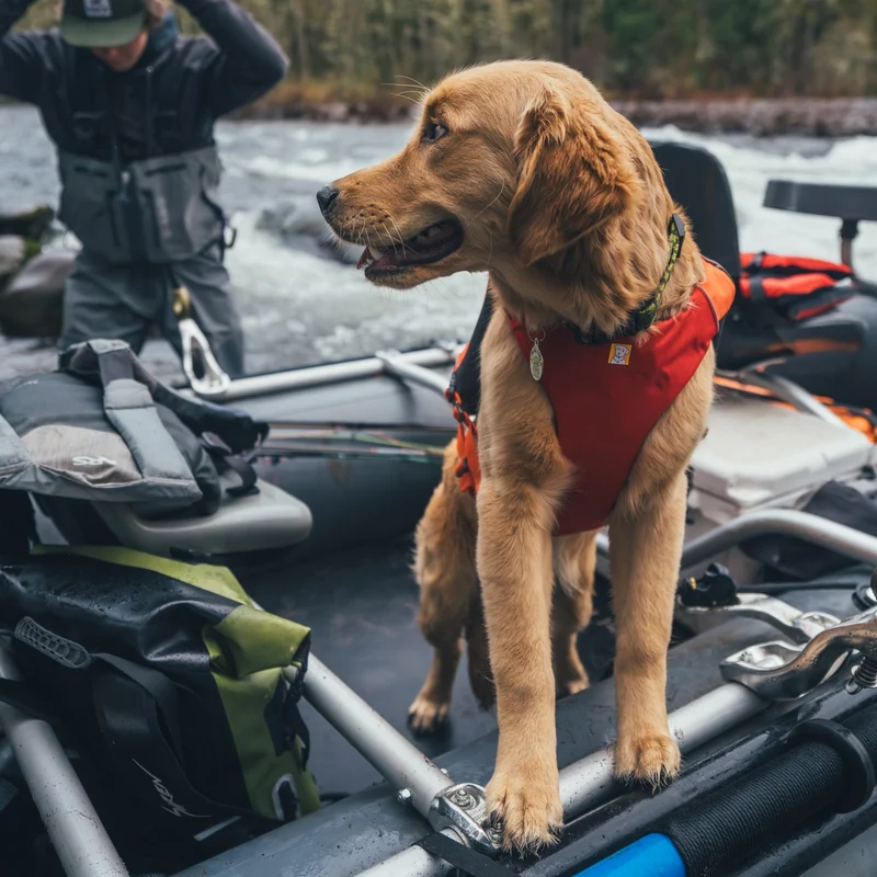 Ruffwear Confluence Schwimmweste – Premium Hundeschwimmweste mit Auftriebskörper, Tragegriff & Reflektoren für sicheres Schwimmen, Bootfahren & Wassersport