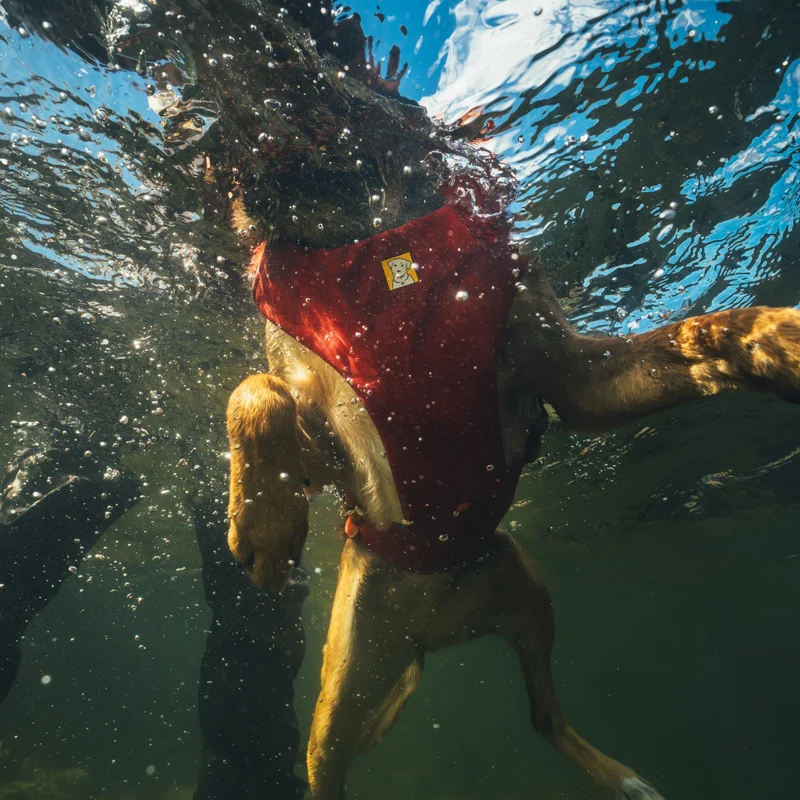 Ruffwear Confluence Schwimmweste – Premium Hundeschwimmweste mit Auftriebskörper, Tragegriff & Reflektoren für sicheres Schwimmen, Bootfahren & Wassersport