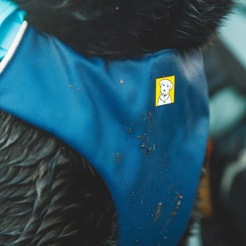 Ruffwear Confluence Schwimmweste – Premium Hundeschwimmweste mit Auftriebskörper, Tragegriff & Reflektoren für sicheres Schwimmen, Bootfahren & Wassersport