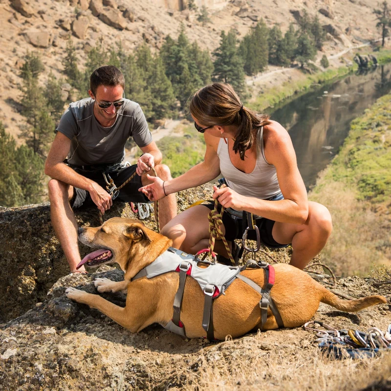 Ruffwear Doubleback Harness – Professionelles Abseilgeschirr für Hunde beim Klettern, Bergsteigen & Canyoning – Maximale Sicherheit für alpine Abenteuer