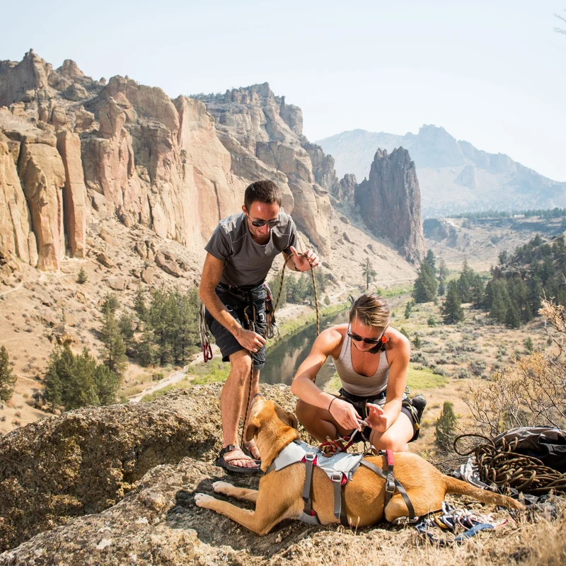 Ruffwear Doubleback Harness – Professionelles Abseilgeschirr für Hunde beim Klettern, Bergsteigen & Canyoning – Maximale Sicherheit für alpine Abenteuer
