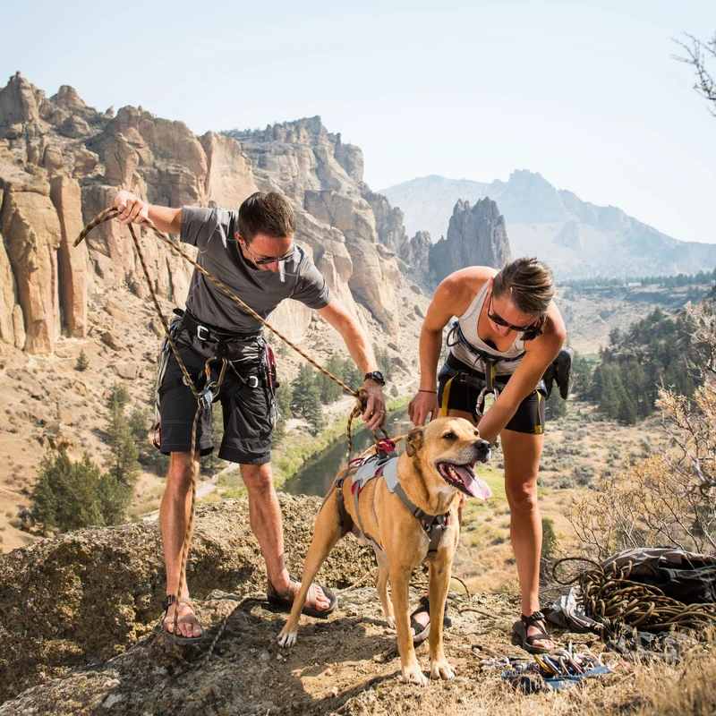Ruffwear Doubleback Harness – Professionelles Abseilgeschirr für Hunde beim Klettern, Bergsteigen & Canyoning – Maximale Sicherheit für alpine Abenteuer