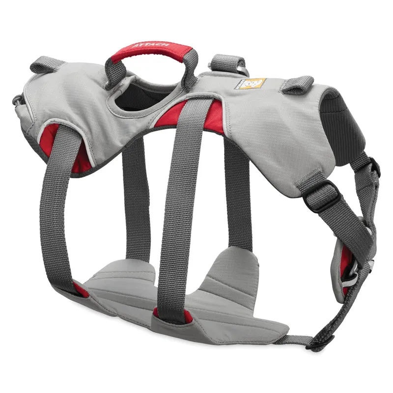 Ruffwear Doubleback Harness – Professionelles Abseilgeschirr für Hunde beim Klettern, Bergsteigen & Canyoning – Maximale Sicherheit für alpine Abenteuer