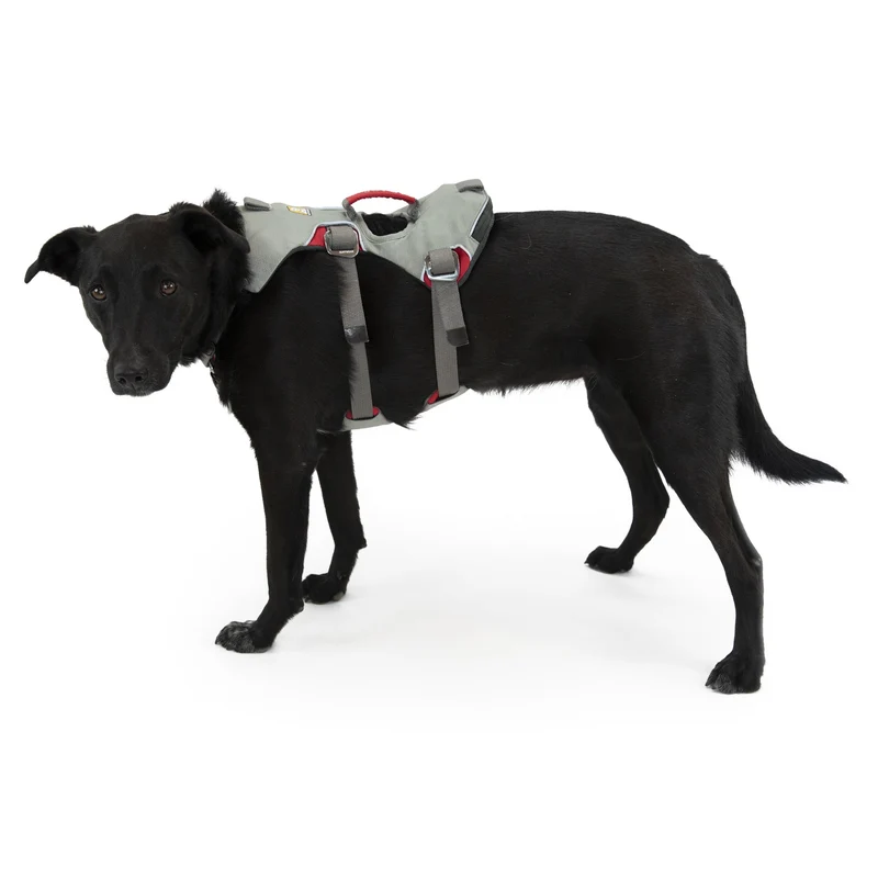 Ruffwear Doubleback Harness – Professionelles Abseilgeschirr für Hunde beim Klettern, Bergsteigen & Canyoning – Maximale Sicherheit für alpine Abenteuer