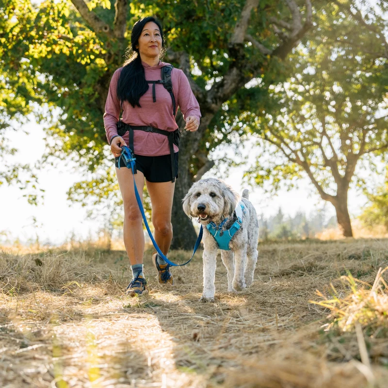 Ruffwear Swamp Cooler Harness – Kühlgeschirr für Hunde bei Hitze | Verdunstungskühlung hält deinen Vierbeiner aktiv & komfortabel | Reflektierende Elemente für Sicherheit bei Dämmerung