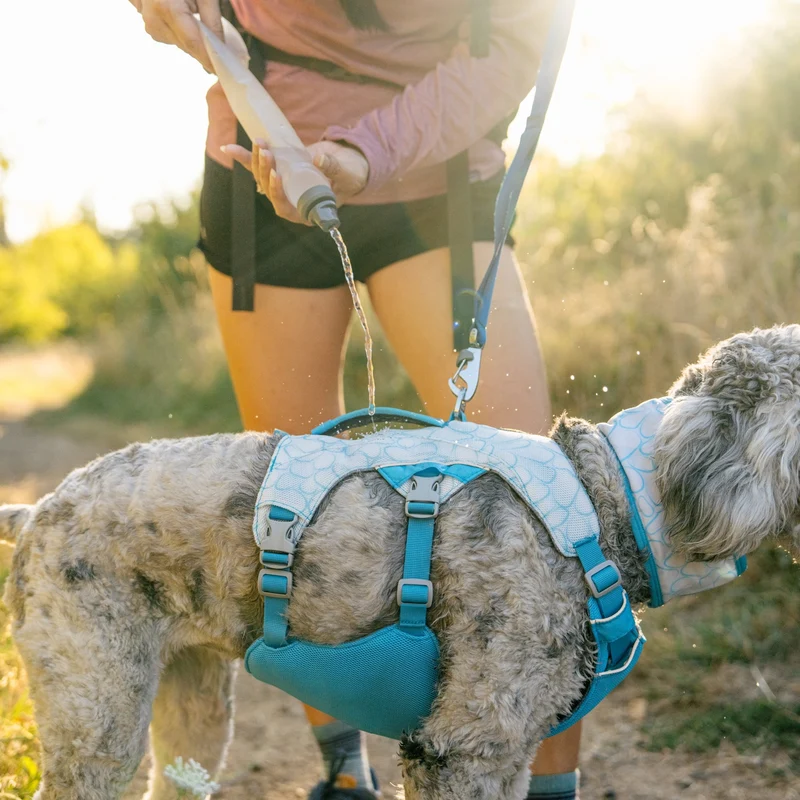 Ruffwear Swamp Cooler Harness – Kühlgeschirr für Hunde bei Hitze | Verdunstungskühlung hält deinen Vierbeiner aktiv & komfortabel | Reflektierende Elemente für Sicherheit bei Dämmerung