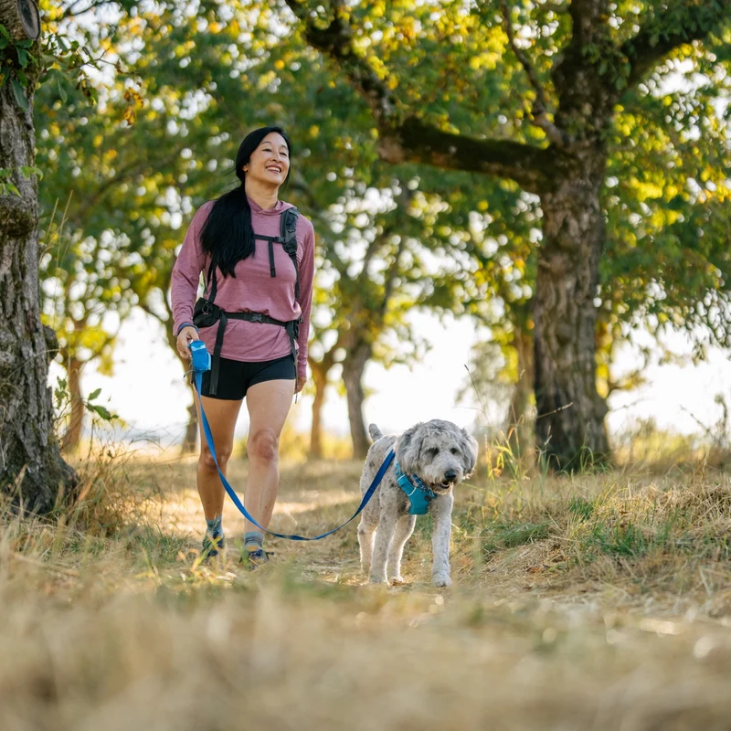 Ruffwear Swamp Cooler Harness – Kühlgeschirr für Hunde bei Hitze | Verdunstungskühlung hält deinen Vierbeiner aktiv & komfortabel | Reflektierende Elemente für Sicherheit bei Dämmerung