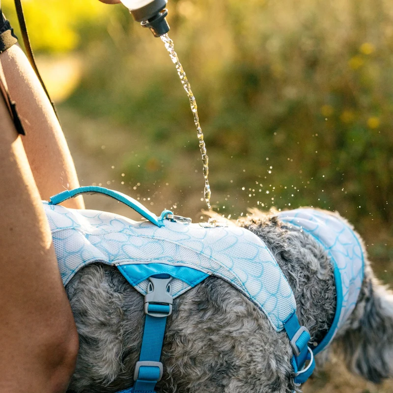 Ruffwear Swamp Cooler Harness – Kühlgeschirr für Hunde bei Hitze | Verdunstungskühlung hält deinen Vierbeiner aktiv & komfortabel | Reflektierende Elemente für Sicherheit bei Dämmerung