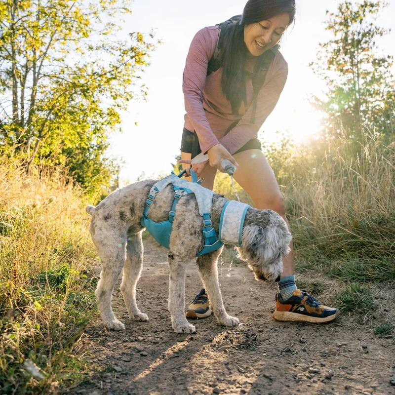 Ruffwear Swamp Cooler Harness – Kühlgeschirr für Hunde bei Hitze | Verdunstungskühlung hält deinen Vierbeiner aktiv & komfortabel | Reflektierende Elemente für Sicherheit bei Dämmerung