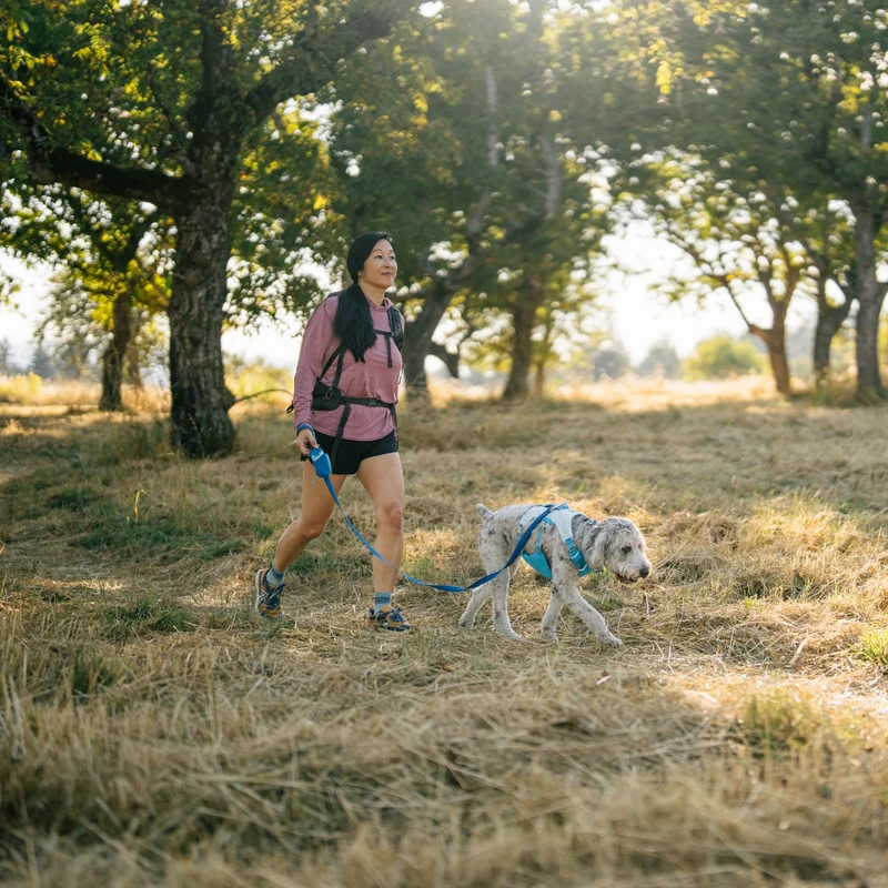 Ruffwear Swamp Cooler Harness – Kühlgeschirr für Hunde bei Hitze | Verdunstungskühlung hält deinen Vierbeiner aktiv & komfortabel | Reflektierende Elemente für Sicherheit bei Dämmerung