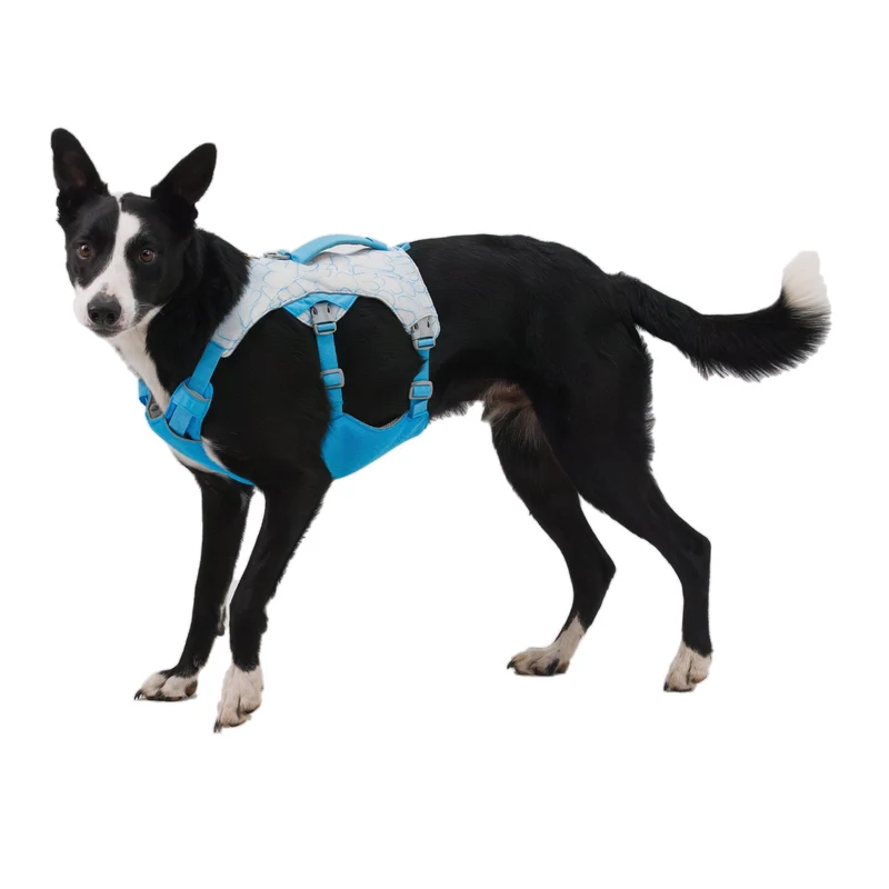 Ruffwear Swamp Cooler Harness – Kühlgeschirr für Hunde bei Hitze | Verdunstungskühlung hält deinen Vierbeiner aktiv & komfortabel | Reflektierende Elemente für Sicherheit bei Dämmerung