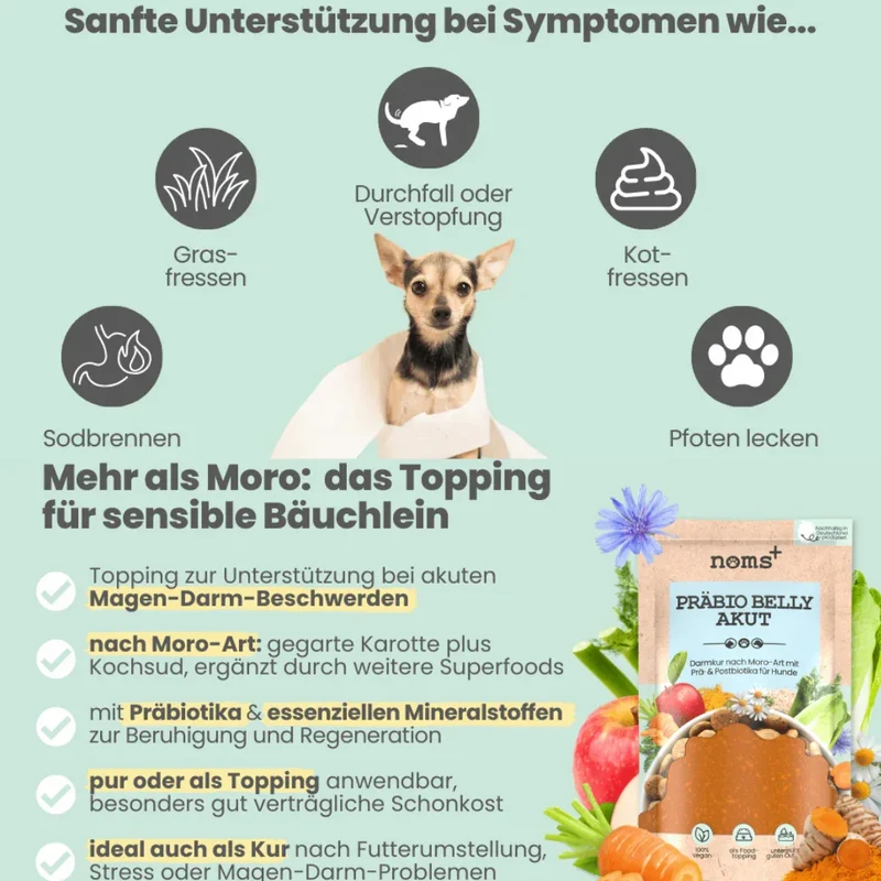Noms+ Präbio Belly AKUT: pflanzenbasierte Darmkur für Hunde nach Moro-Art - Ready to eat