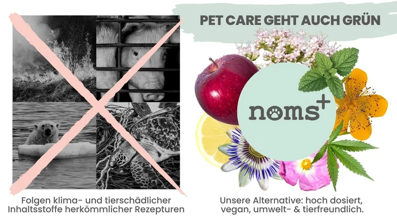 Noms+ Präbio Belly AKUT: pflanzenbasierte Darmkur für Hunde nach Moro-Art - Ready to eat