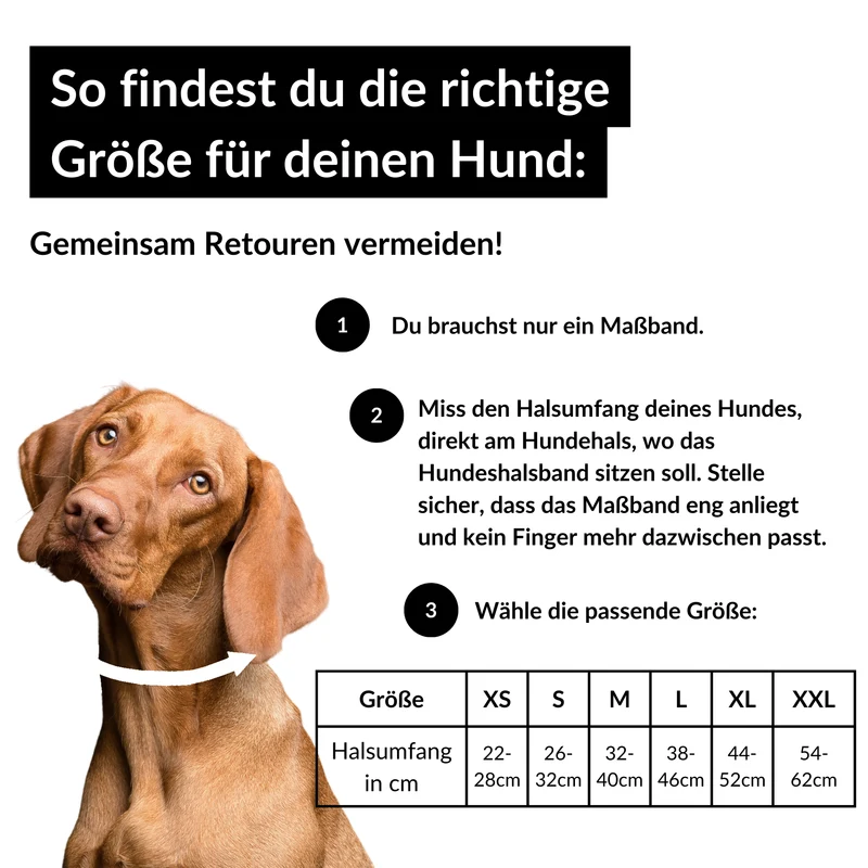 SNIFFLS® Hundehalsband