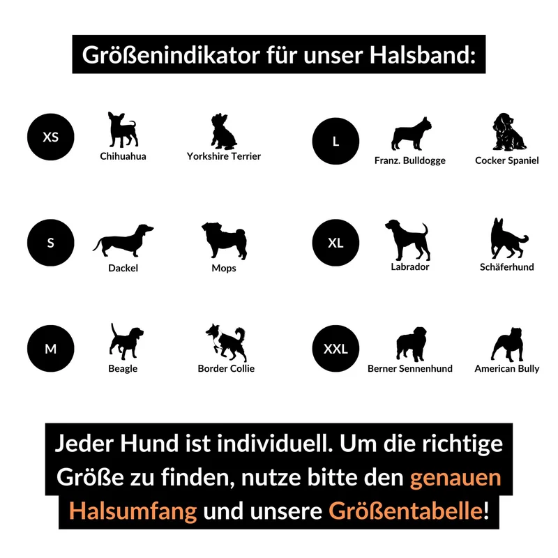 SNIFFLS® Hundehalsband