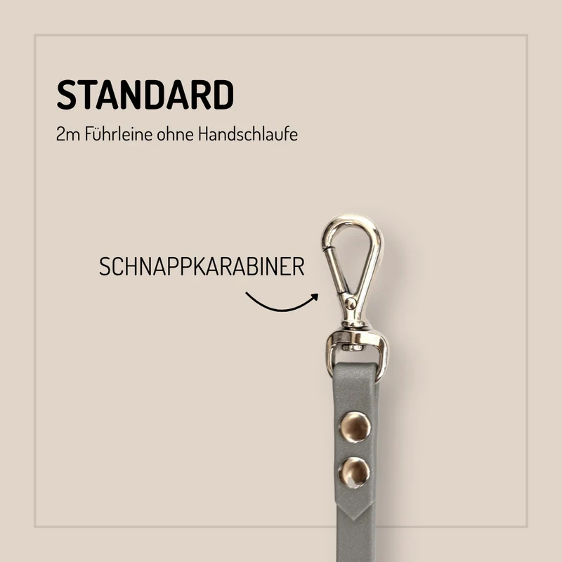 Biothane-Hundeleine 2m - individuell konfigurierbar